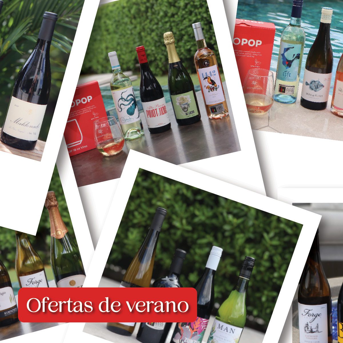 Ofertas de Verano